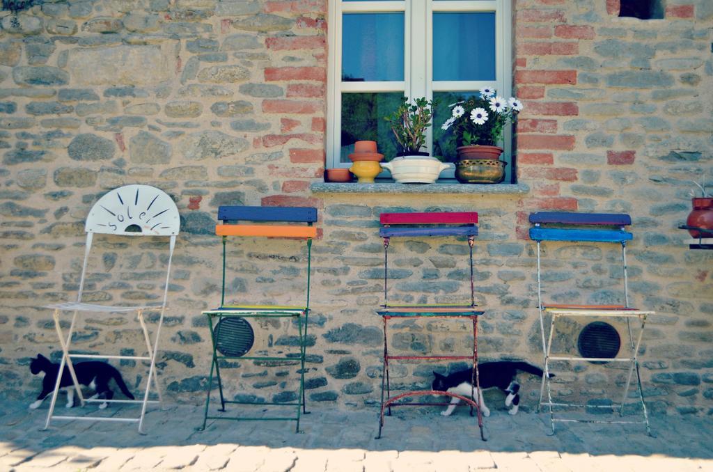 Gasthaus Cascina Il Convivio Diano dʼAlba Exterior foto